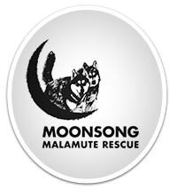Moonsong Malamute Rescue